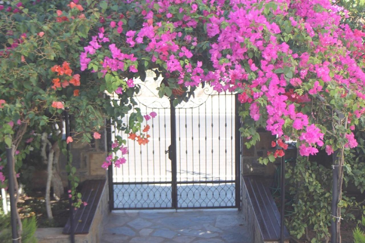 Lemon Tree Apart Hotel Bitez Εξωτερικό φωτογραφία
